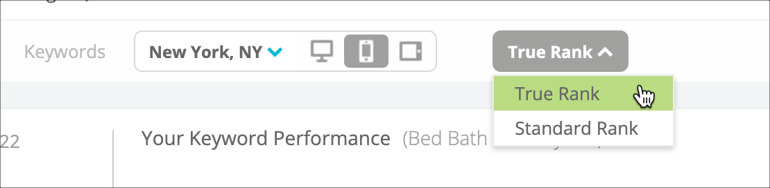 choose_rank_type.png